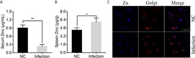 The Zinc Nutritional Immunity of Epinephelus coioides Contributes to the Importance of znuC During Pseudomonas plecoglossicida Infection